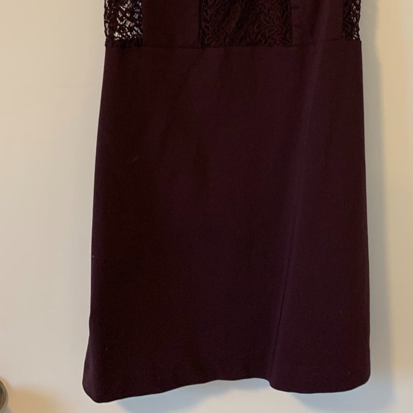 Zara Trafaluc Plum Purple Lace Mini Dress - Picture 12 of 13